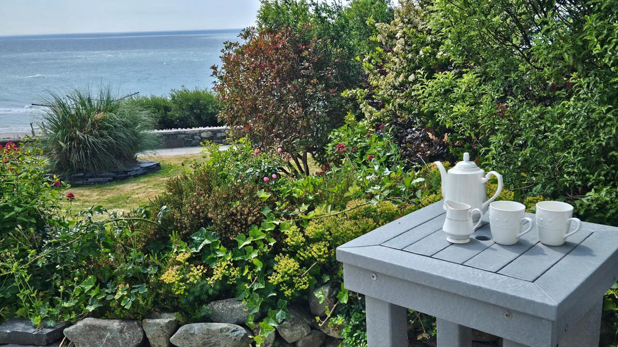 Talarfor Barmouth Villa Dış mekan fotoğraf